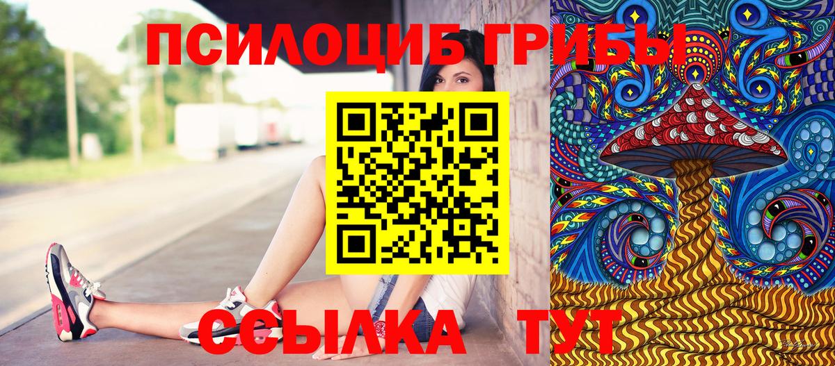 Нижнекамск  Галлюциногенные грибы Psilocybe  Вход с VPN 